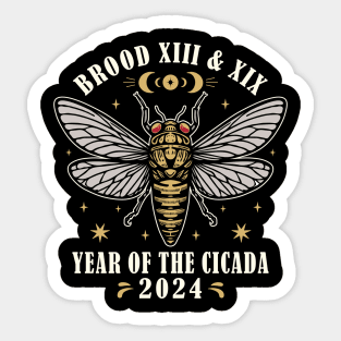 Cicada Double Emergence Year Of The Cicada 2024 Sticker